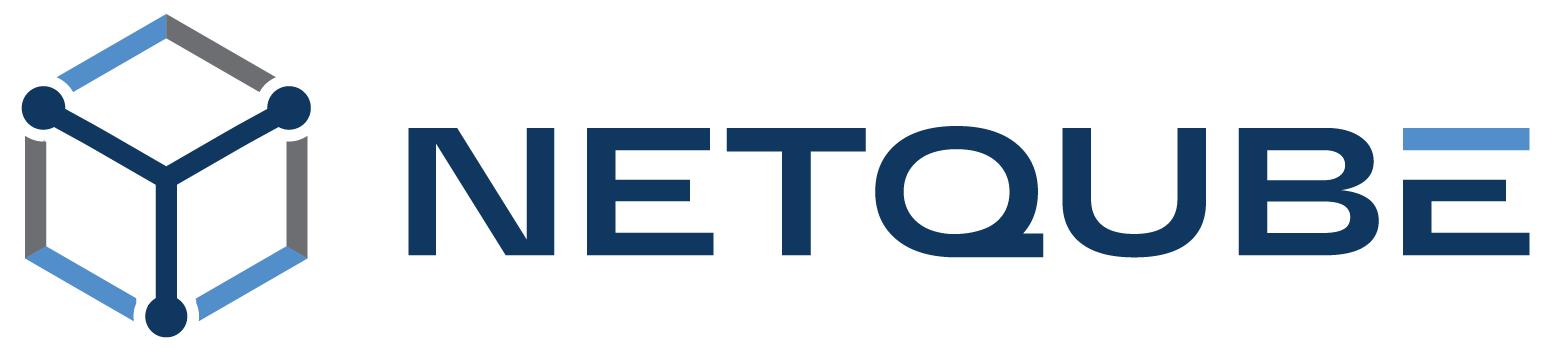 Netqube AG Logo
